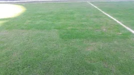 FB_IMG_1551504438498.webp