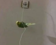 43188