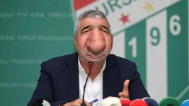 43411