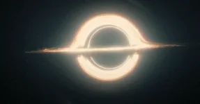 44183