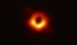 44184