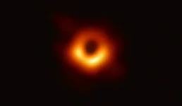 44187