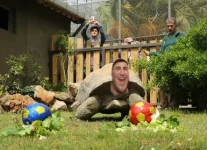 44399