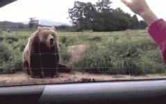 tumblr_mh1fp16dFV1rqiy78o1_400.gif