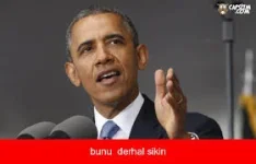 images (2).webp