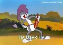 ha uşak.webp