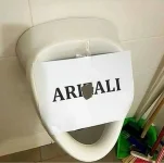46620