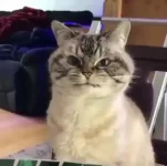 48393