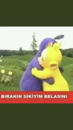 48868