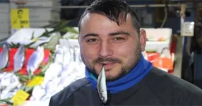 49173
