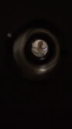 49449 49449