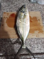 received_601985053550519.webp