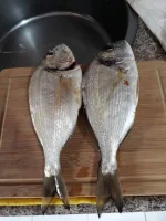 received_1250906221716536.webp