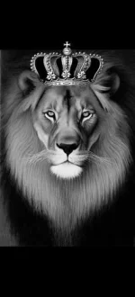 720e231949718ec7d99f8f2d388a4a2a--all-about-leo-lion-of-judah.webp