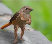 1565098944482.png 1565098944482.png