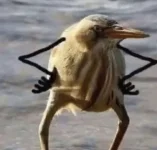 20190806_155107.png