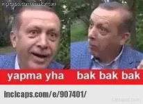 1565272751935.webp