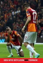 12.webp