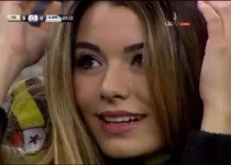 23482639.webp