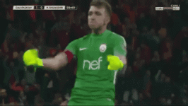 tumblr_p7algqSXBW1sogahco1_400.gif