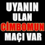 BmNqIf3IgAAPKq5.webp