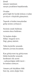 147A84BC-76CA-4EA5-8156-65AECA97901C.webp