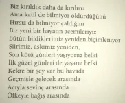 846F8E6A-3FD5-45D1-B429-A8E2B3F766FE.webp