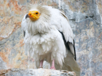 1570539993813.png