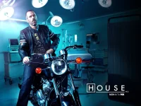 house md.webp