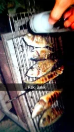 uploadfromtaptalk1394495904233.webp