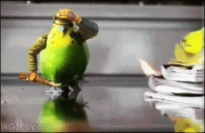 hjYNiQG.gif
