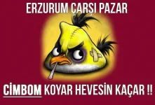 A0Ig8G8CAAIgqLV.jpg large.webp