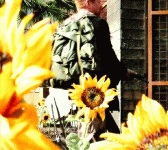 tumblr_n2xayl7hKa1rnikqmo4_250.gif