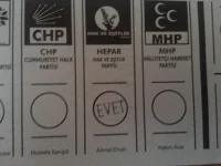 3.webp