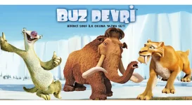 buzdevrib2.webp