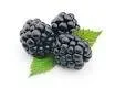 uploadfromtaptalk1398784106750.webp