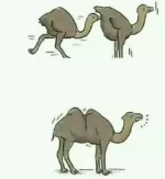 1574950787866.webp