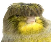 images (1).webp