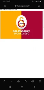 Screenshot_20191220-232304_Samsung Internet.webp