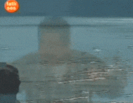 ibogif4.gif