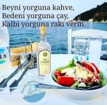 FB_IMG_1574131512001.webp