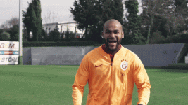 435.gif
