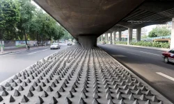 708804e3-0cce-4d63-ae6c-8069b657d708-2060x1236.webp