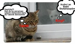 tmk.webp