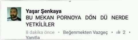 1580507103161.jpeg