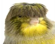 1580589066565.webp