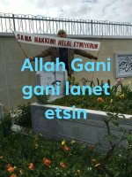 IMG_20190720_104703.jpeg