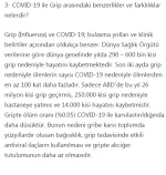 corona.webp