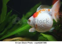 1584301941584.webp