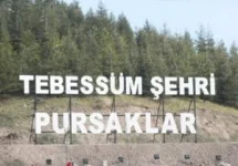 1584480865066.webp